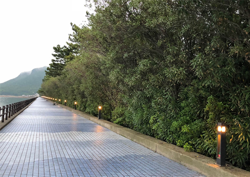 香川県高松市/交通安全施設/富国産業/デザイン照明灯